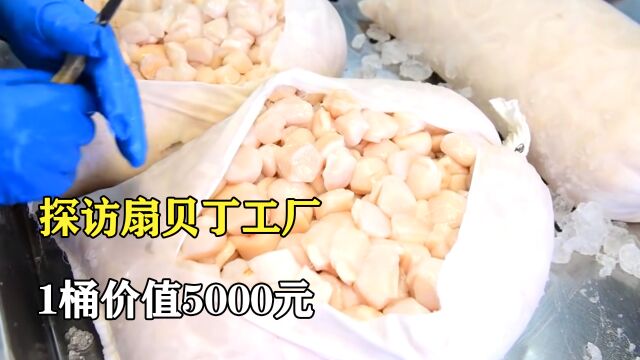 探访扇贝丁工厂:1桶5000元的扇贝丁,成本却不到100元