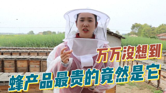 蜂妹突发奇想,带您看看啥是蜂产品里最贵的?你绝对没想到会是它