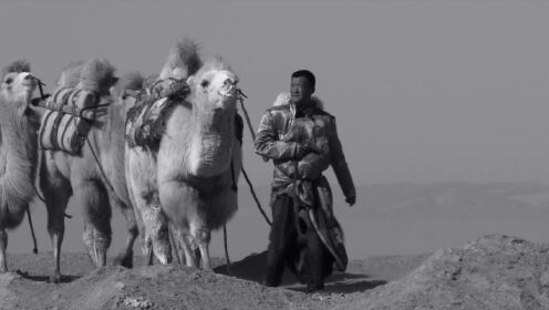 纪录片《阿拉善人与骆驼的故事》预告片