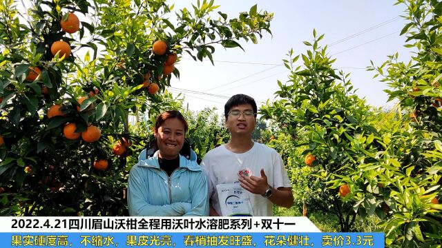 夫沃施水溶肥四川眉山沃柑全程用夫沃施沃叶水溶肥系列+双十一,果实硬度高,不缩水,果皮光亮,春梢抽发旺盛,花朵健壮,卖价3.3元