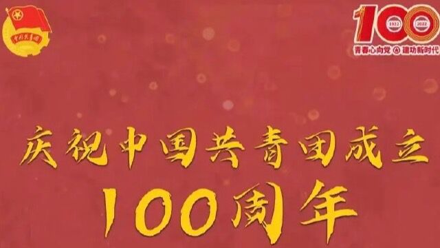 河南中电建物贸有限公司机关团支部庆祝建团一百周年