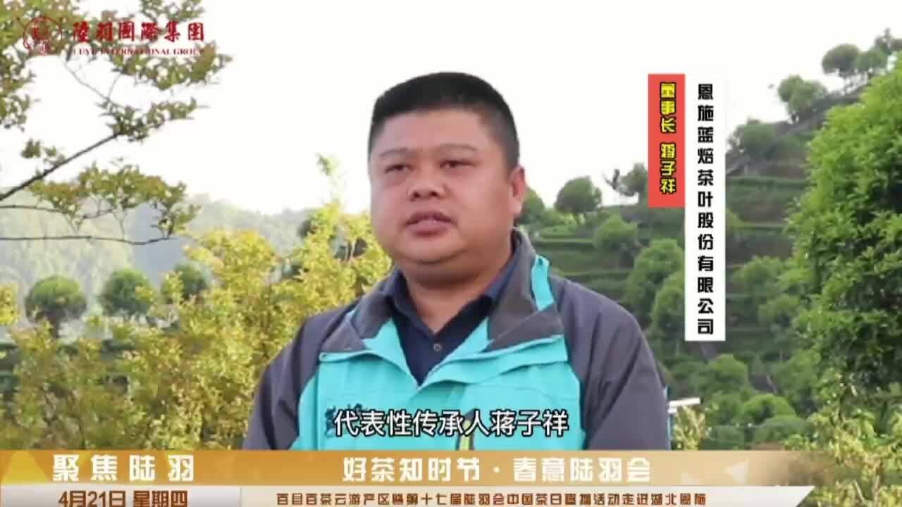 陆羽茶交所分享·湖北恩施玉露传承人蒋子祥简介