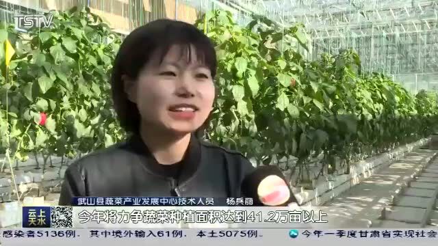 武山县:全产业链助推县域经济发展