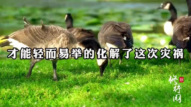 什么脾气,就什么命!(不信你看)