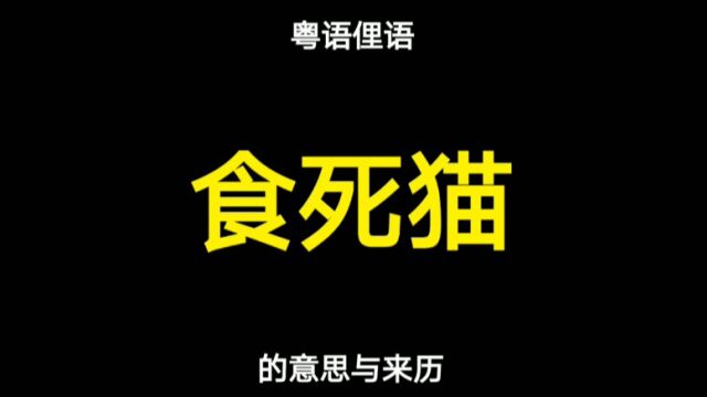 粤语“食死猫”的来历,原来有段古