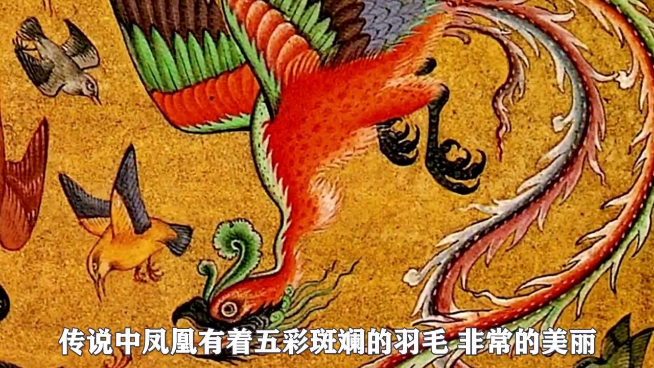 老人捡到一只白“凤凰”,偷偷养了5年,孙子认出后笑出了声_高清1080P在线观看平台_腾讯视频