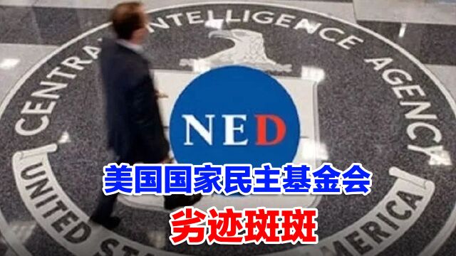 “民主”成了政治工具?专家痛批美国国家民主基金会的斑斑劣迹