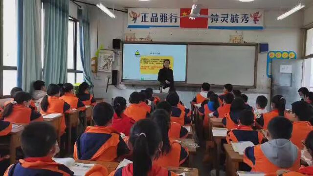 《脑的功能》利川市第一民族实验小学杨碧秀