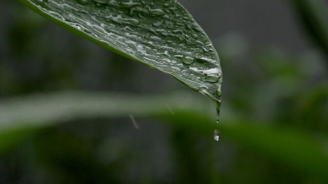 雨滴下雨雨景 (35)