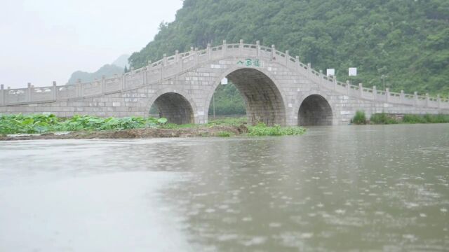 夏天夏季夏日 小暑 大暑 荷花 荷叶水滴水珠实拍视频 (5)