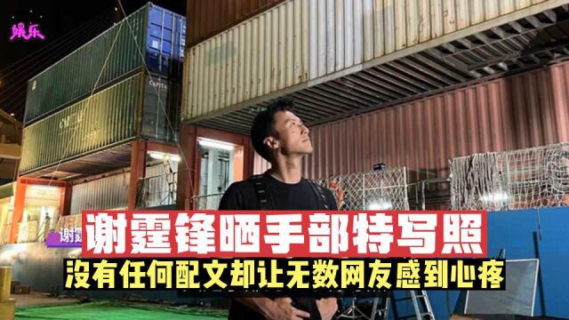 谢霆锋晒手部特写照,没有任何配文却让无数网友感到心疼