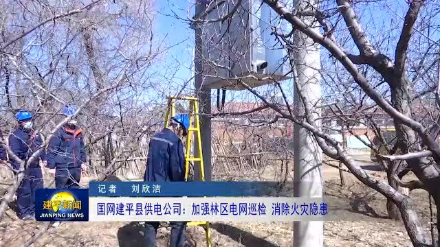 【创城】国网建平县供电公司:加强林区电网巡检 消除火灾隐患