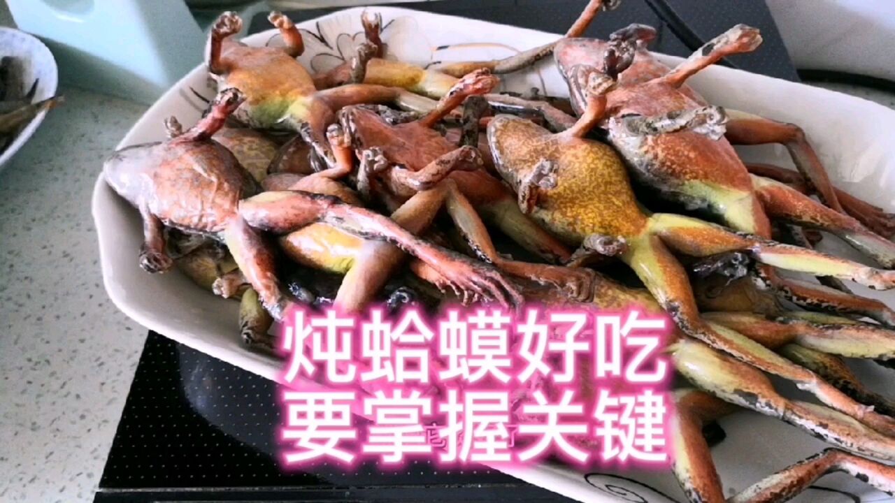 炖蛤蟆教程#掌握关键点:火候,炖制时间,调味,出锅一定带点汤汁