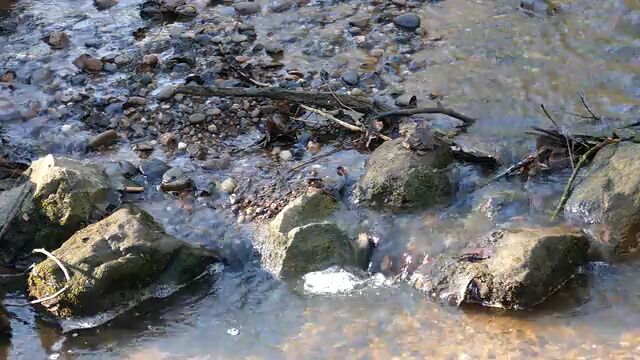 自然 流水 河流