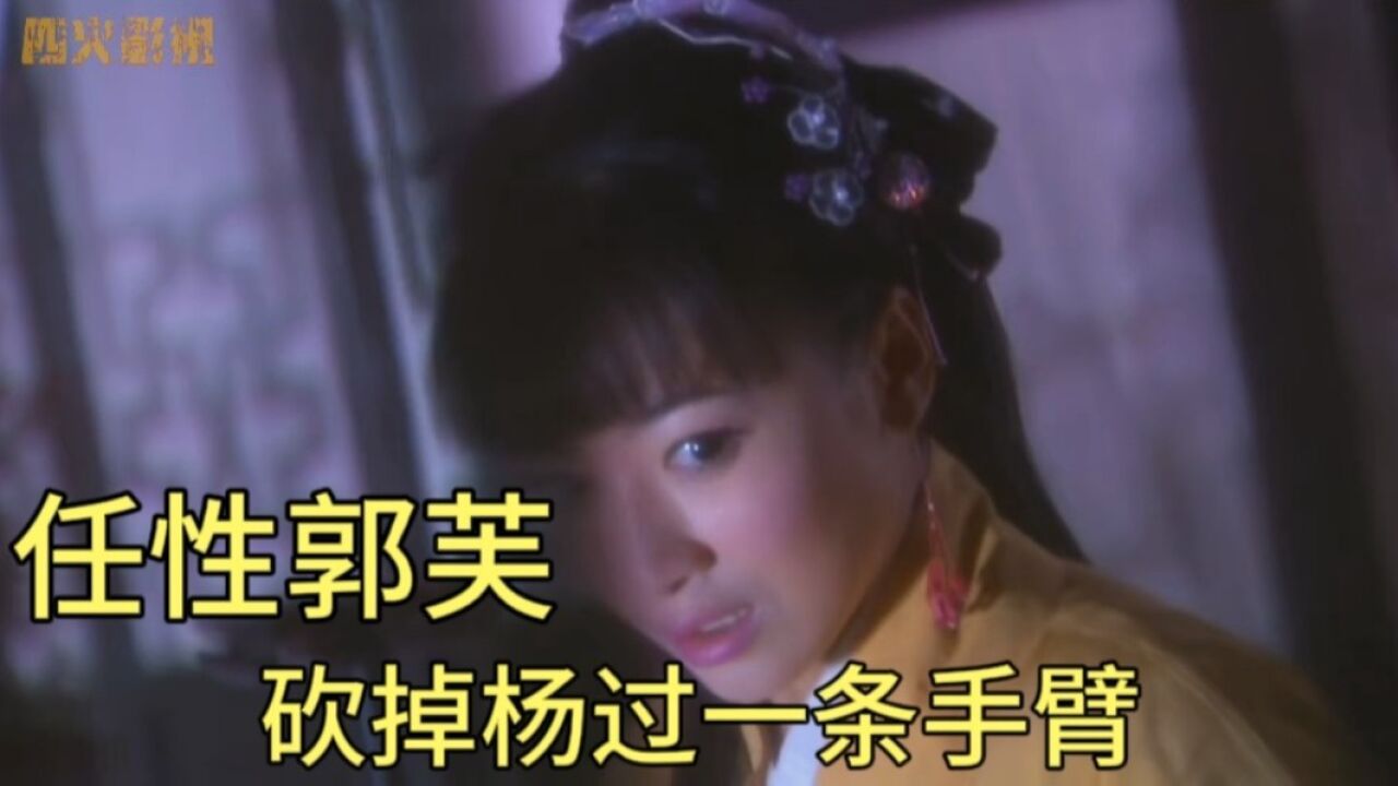 杨过被郭芙砍掉一臂,逃出郭府被雕兄所救,最后被带到了独孤剑冢