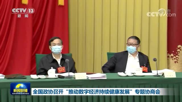 全国政协“数字经济”专题协商会发言摘编