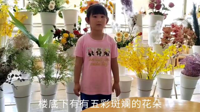 银光幼儿园我心目中的小学