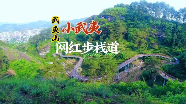 武夷山的小武夷公园,风景不输主景区,刚修条网红栈道免费游玩