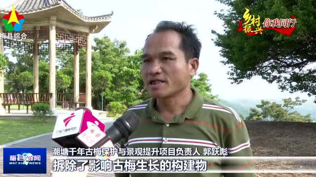 正式对外开放!梅城这个景观→