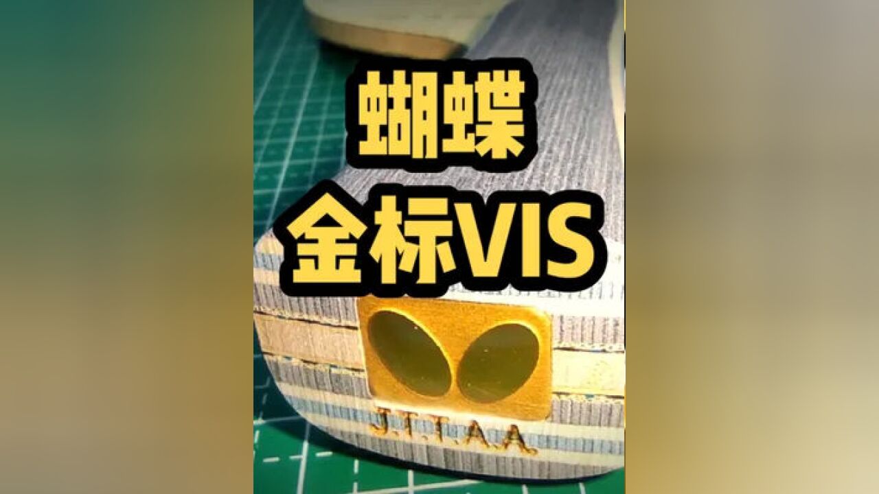 蝴蝶乒乓球拍logo图片