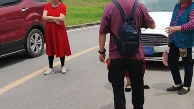 驾车经过乡村道路,遇见村民组团拦路收费:不给就不让走