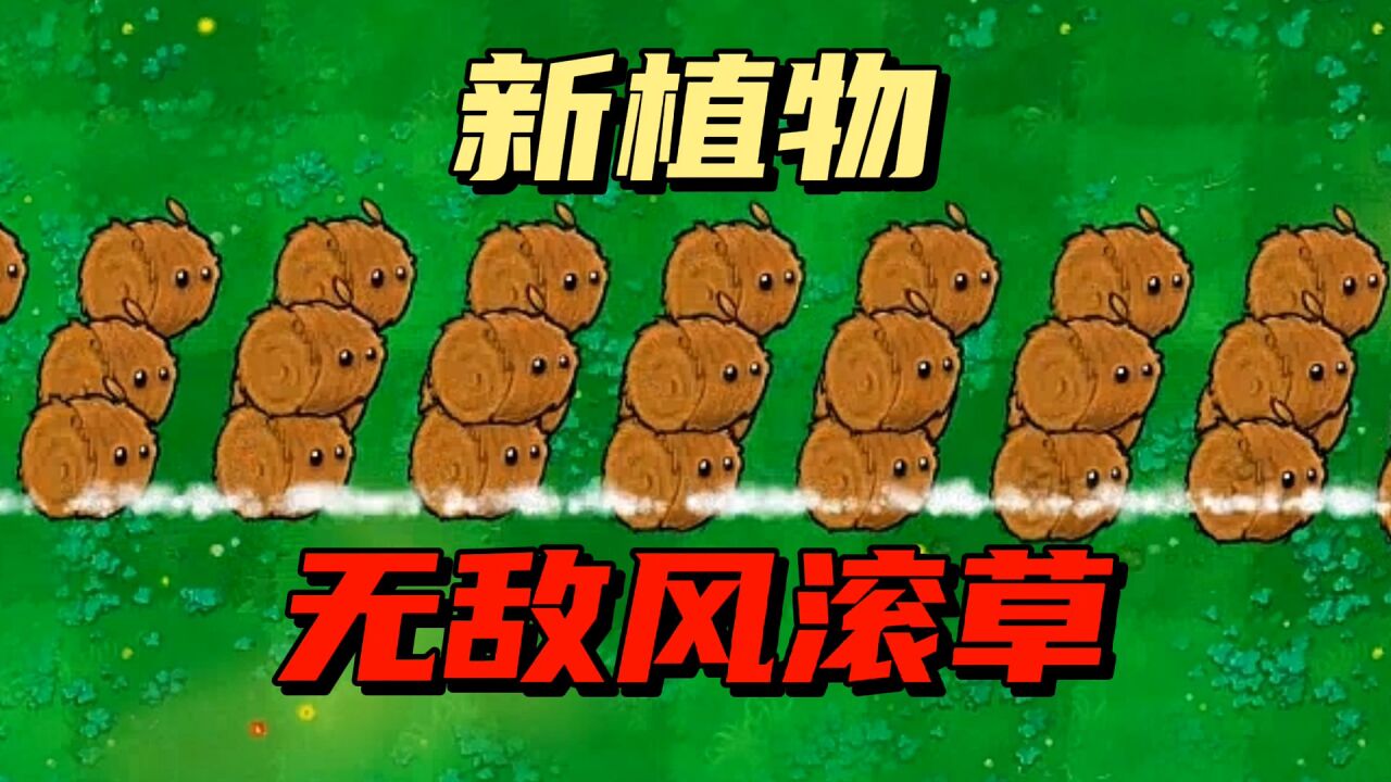 【pvz沙雕配音】新植物风滚草,秒僵尸只需一秒?