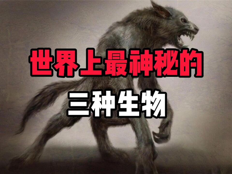 世界上最神秘的三种生物