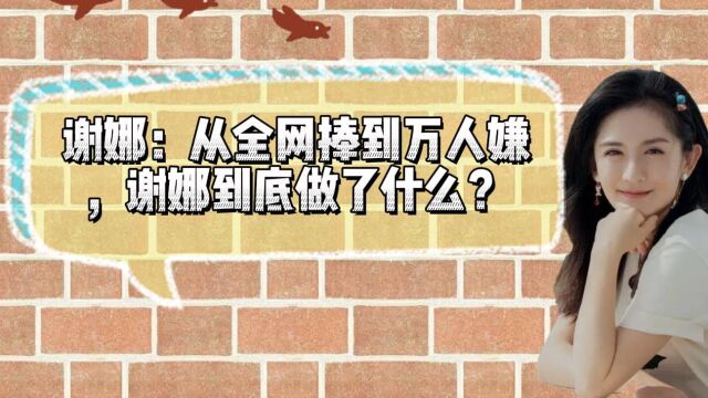 谢娜:从全网捧到万人嫌,谢娜到底做了什么?