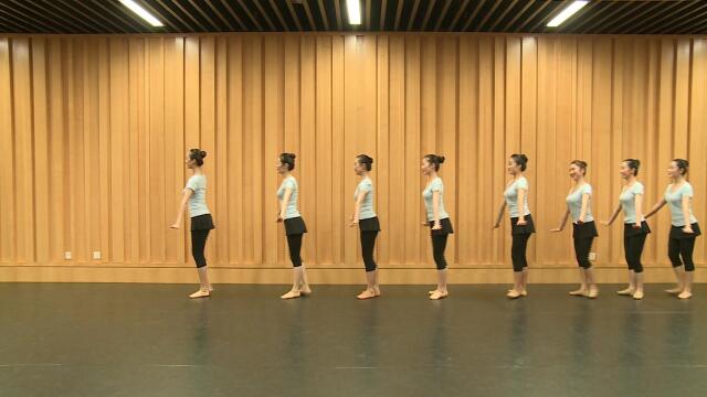 中国舞蹈考级第五级-企鹅爸爸