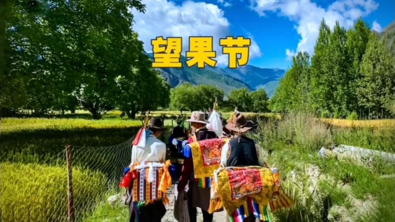 望果节_搜狗百科