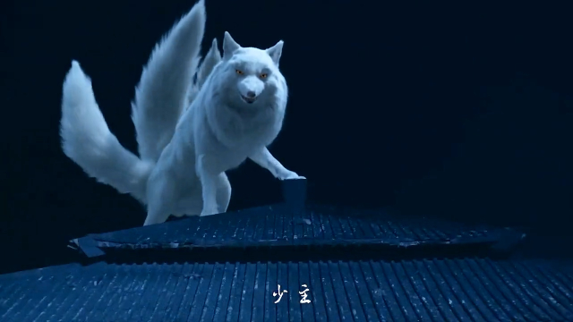 男狐聊斋3漆培鑫化身青丘狐族少主白衣清隽俊朗非凡高凯谌玮琦高智洋