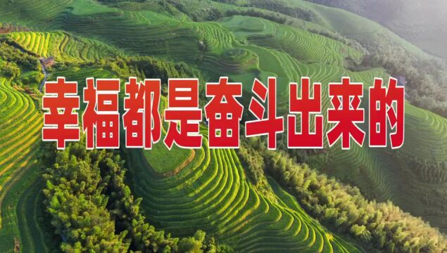 【奋进新征程 建功新时代】周彦到福利镇调研粮食安全生产及工业园区建设工作