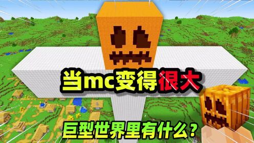 我的世界：当mc变得很大，巨型世界里有什么？