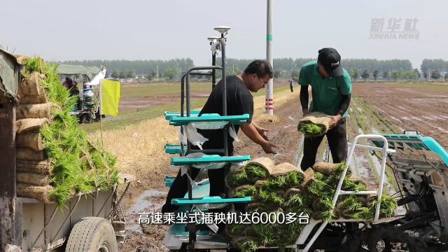 江苏淮安:推广水稻测深施肥 加快农机装备绿色化