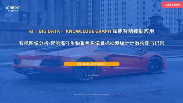 智能图像分析智能海洋生物鲨鱼图像目标检测统计计数检测与识别艾科瑞特科技(iCREDIT)