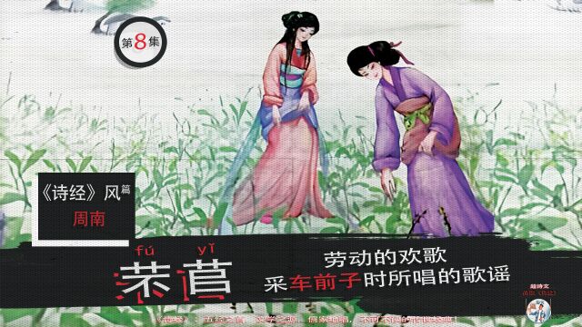 《芣苢》:劳动的欢歌,《诗经》中人们采摘车前子时所唱的歌谣!