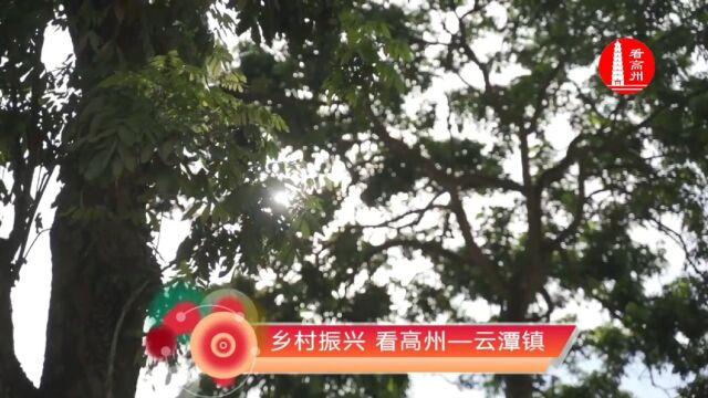 广东省茂名市:乡村振兴 看高州 云潭镇