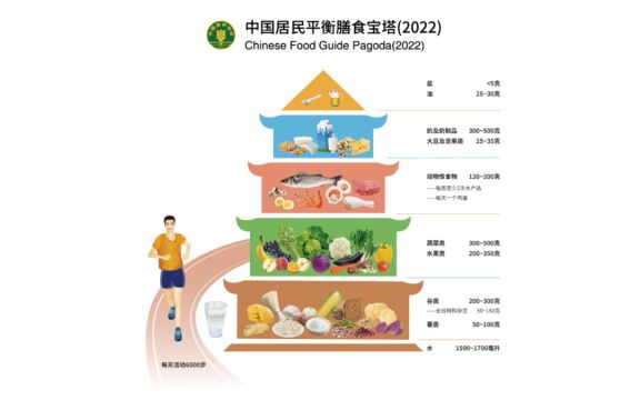 (电视通稿ⷥ›𝥆…ⷧ侤𜚩专家解读|中国居民平衡膳食宝塔有深意