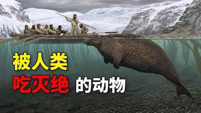 被人类吃灭绝的动物,从50亿只到彻底消失,仅仅用了100年!