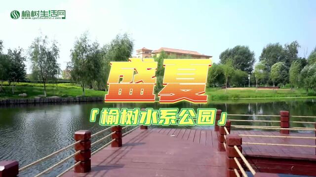 盛夏——榆树水系公园