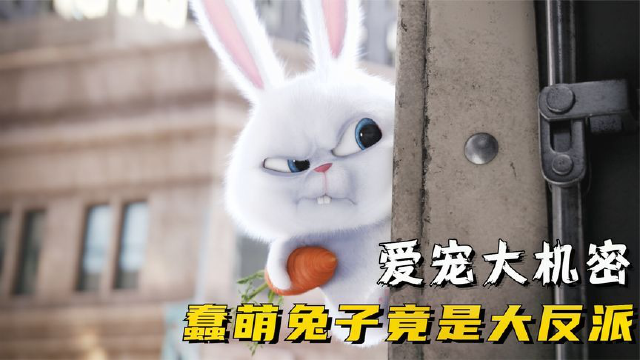爱宠大机密:一只超级超级萌的兔子,却是黑帮老大,一心想要复仇!