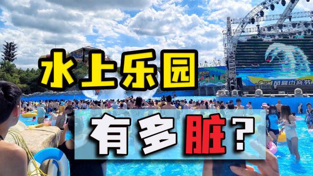 花200去水上乐园,满池子尽是青蛙蜘蛛,游客:再也不敢去了!