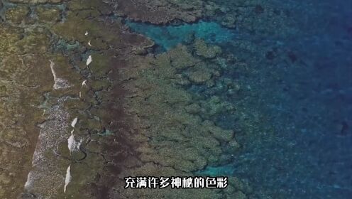 大海是怎样运动的，潮汐现象形成的原理，退潮后的海水去了哪里？_高清1080P在线观看平台_腾讯视频
