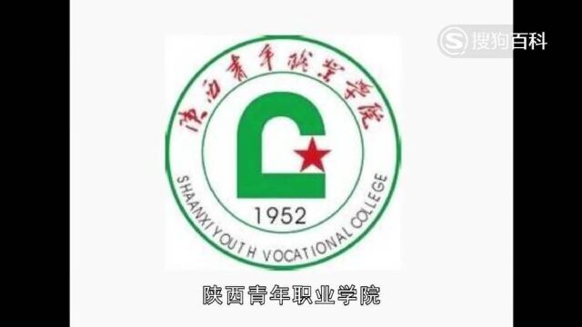 立懂百科带你了解陕西青年职业学院