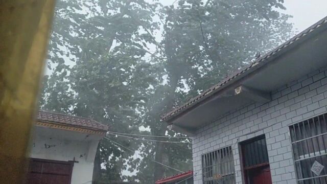 河南商丘的一场大爆雨终于下来了,刮着大风,下着大雨,真吓人