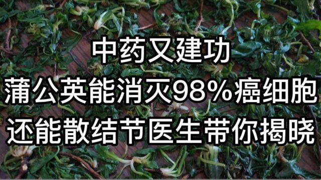 中药又建功?蒲公英能消灭98%癌细胞,还能散结节?医生带你揭晓