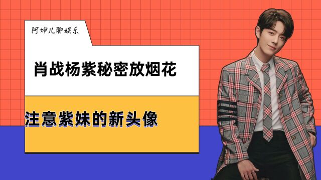 肖战杨紫秘密约会放烟花?注意紫妹的新头像,暗戳戳撒糖太甜