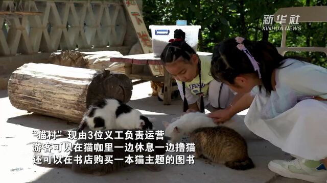 河北“猫村”:昔日旧山村变成文旅新村