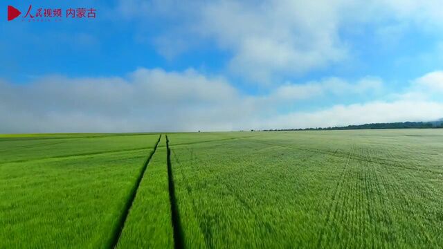 【美丽中国ⷧ𝑧𛜥꒤𝓧”Ÿ态行】徜徉云间 感受蒙兀室韦之美