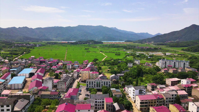 《今日赣鄱》栏目组走进樟树市店下镇人民政府